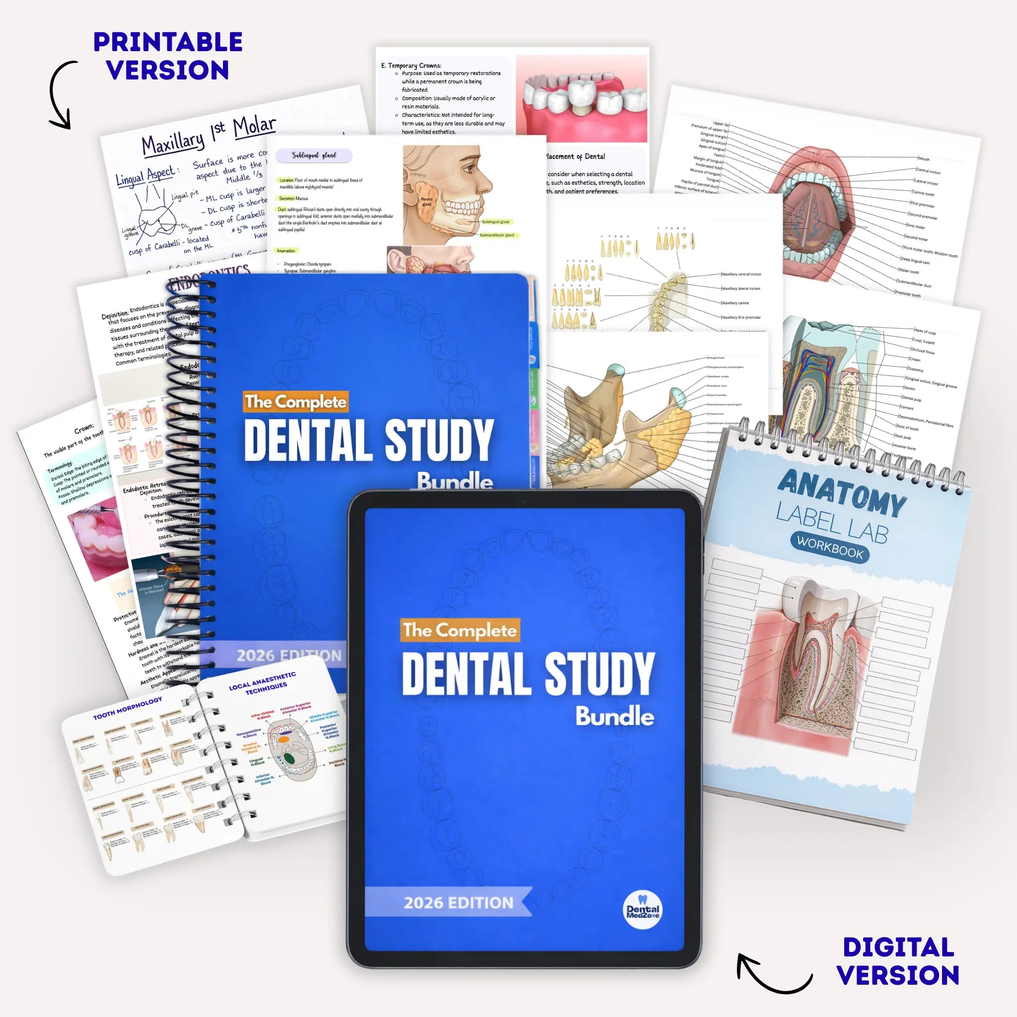 Dental Study Notes - COMPLETE BUNDLE