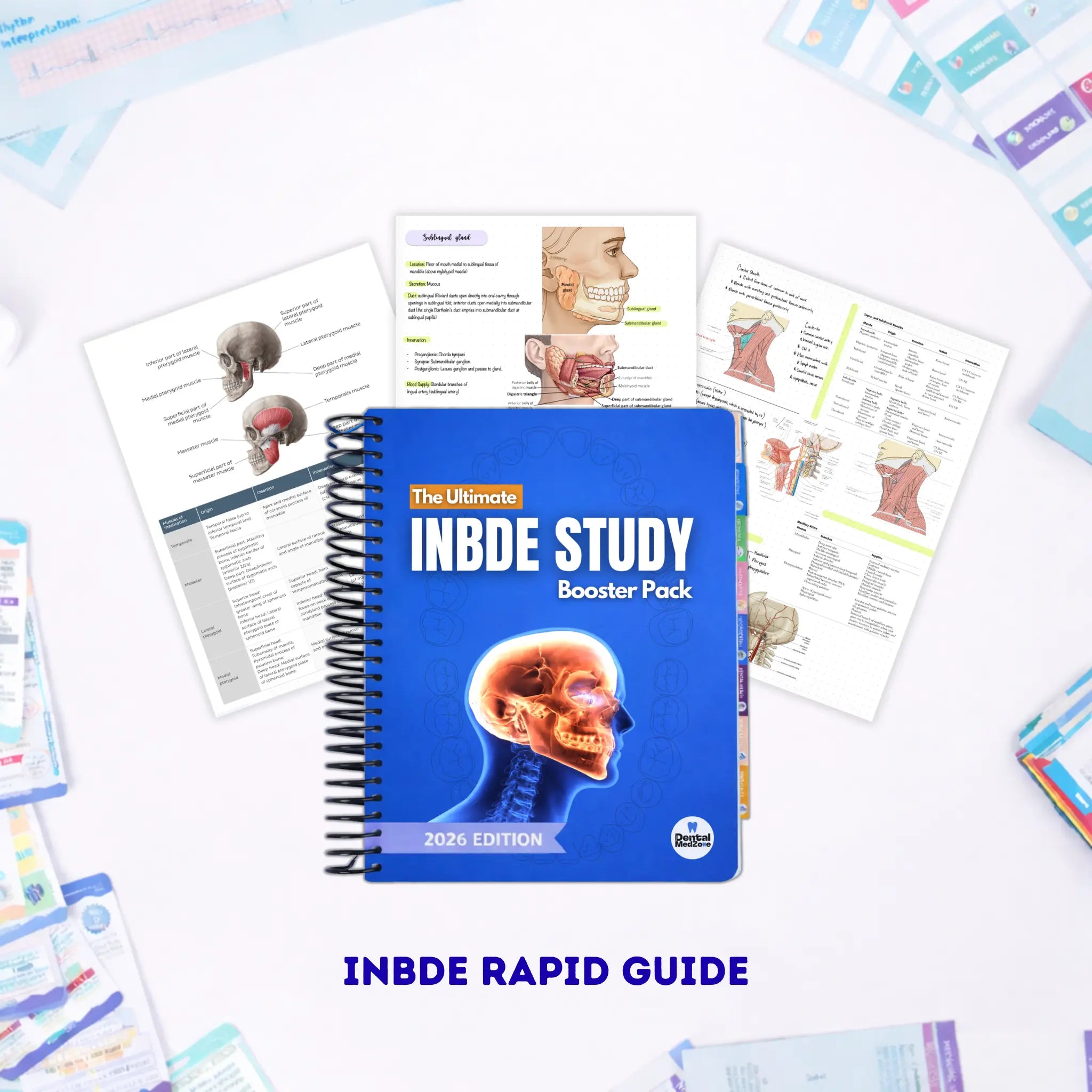 Dental Study Notes - COMPLETE BUNDLE