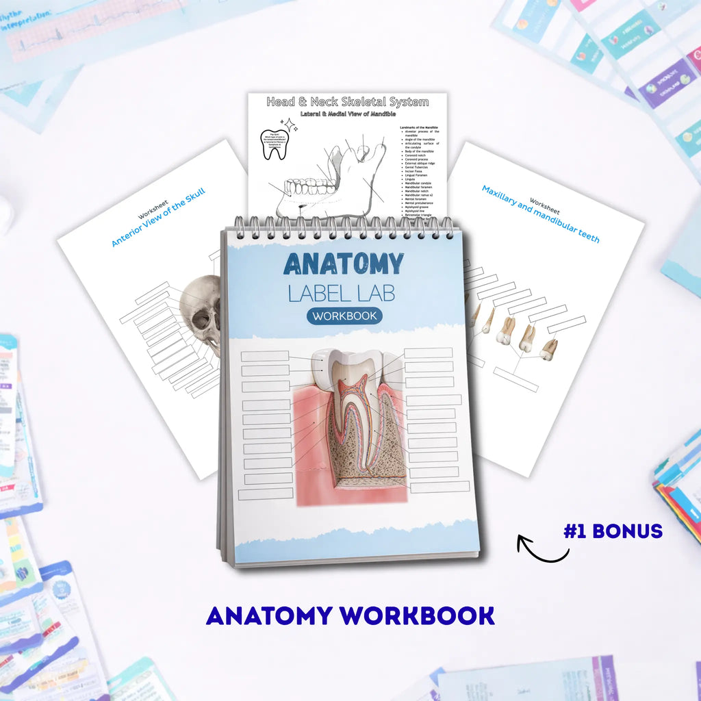 Dental Study Notes - COMPLETE BUNDLE