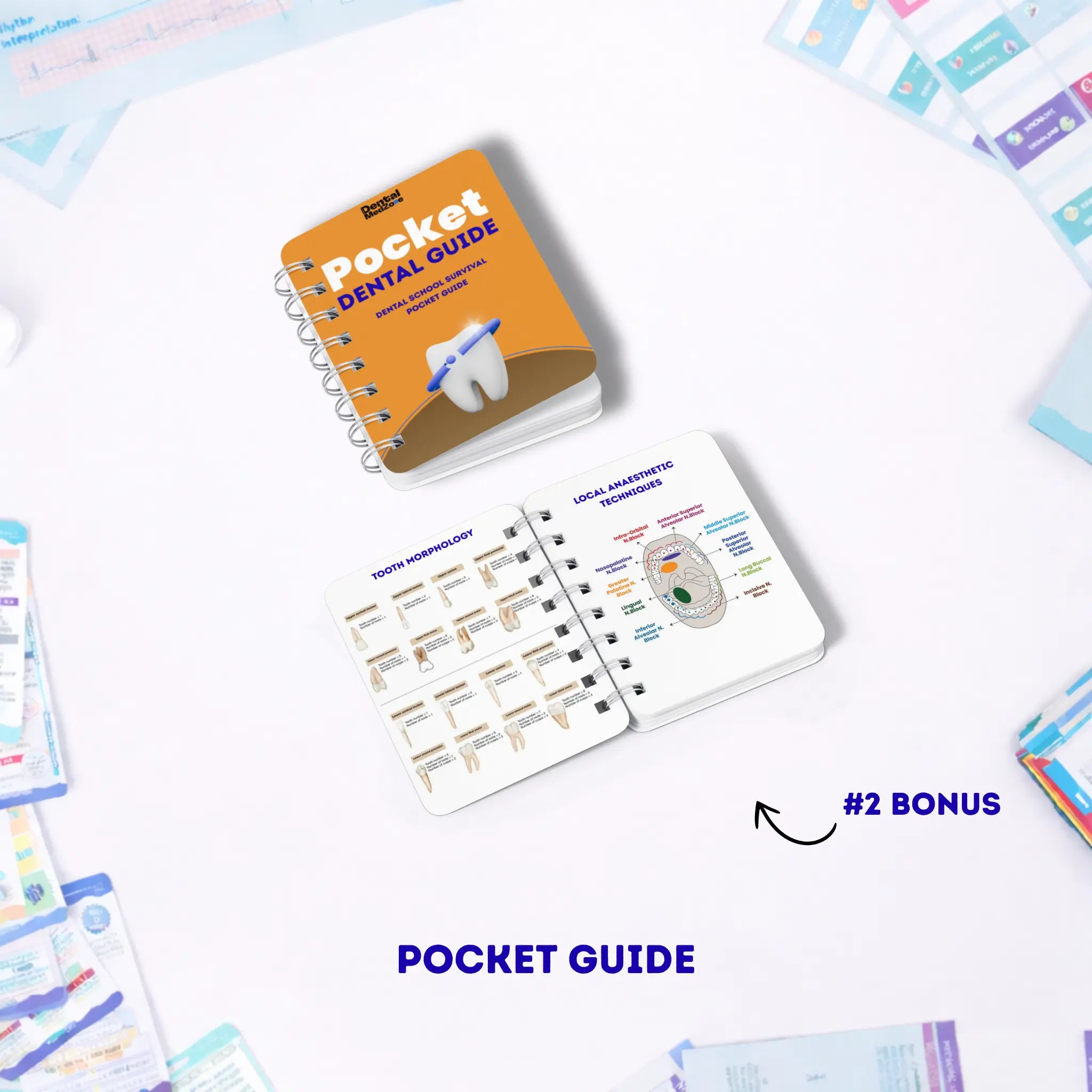 Dental Study Notes - COMPLETE BUNDLE