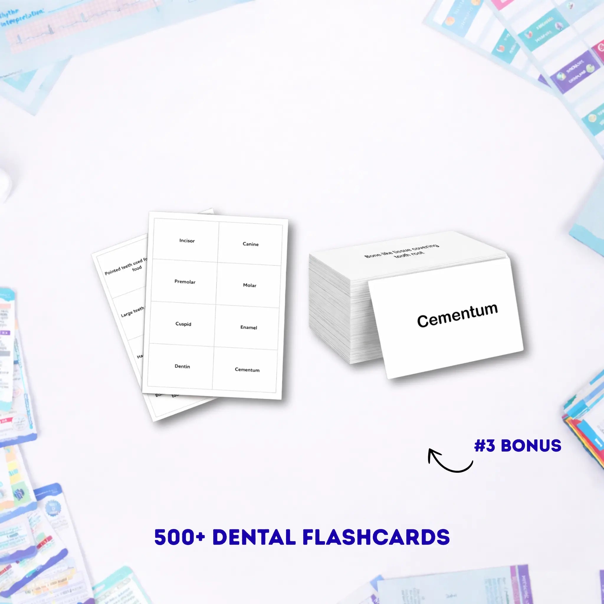 Dental Study Notes - COMPLETE BUNDLE